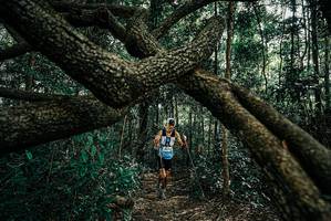 BIB: 
                            <button type="button" onclick="openModal(25664191)" class="btn btn-primary btn-sm float-right btn-popup" data-toggle="modal" data-target=".modal-high-quality">
                        <i class="fas fa-shopping-cart"></i> Add to Cart
                    </button>
                                            <button type="button" onclick="isThisMe(25664191, true)" class="btn btn-success btn-sm float-right btn-popup btn-isme hidden" data-toggle="tooltip" data-placement="bottom" title="นี่คือรูปของคุณใช่ไหม คลิกที่นี่เพื่อเอาเข้าอัลบั้ม">
                        <i class="fas fa-plus"></i> Add to album
                    </button>
                    <button type="button" onclick="isThisMe(25664191, false)" class="btn btn-warning btn-sm float-right btn-popup btn-isnotme hidden">
                        <i class="fas fa-ban"></i> Remove from album
                    </button>